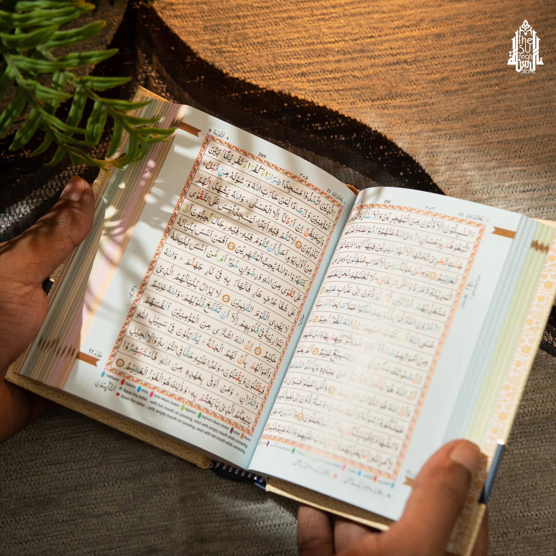 Pocket Quran : Colour Coded Tajweed Rules image 4