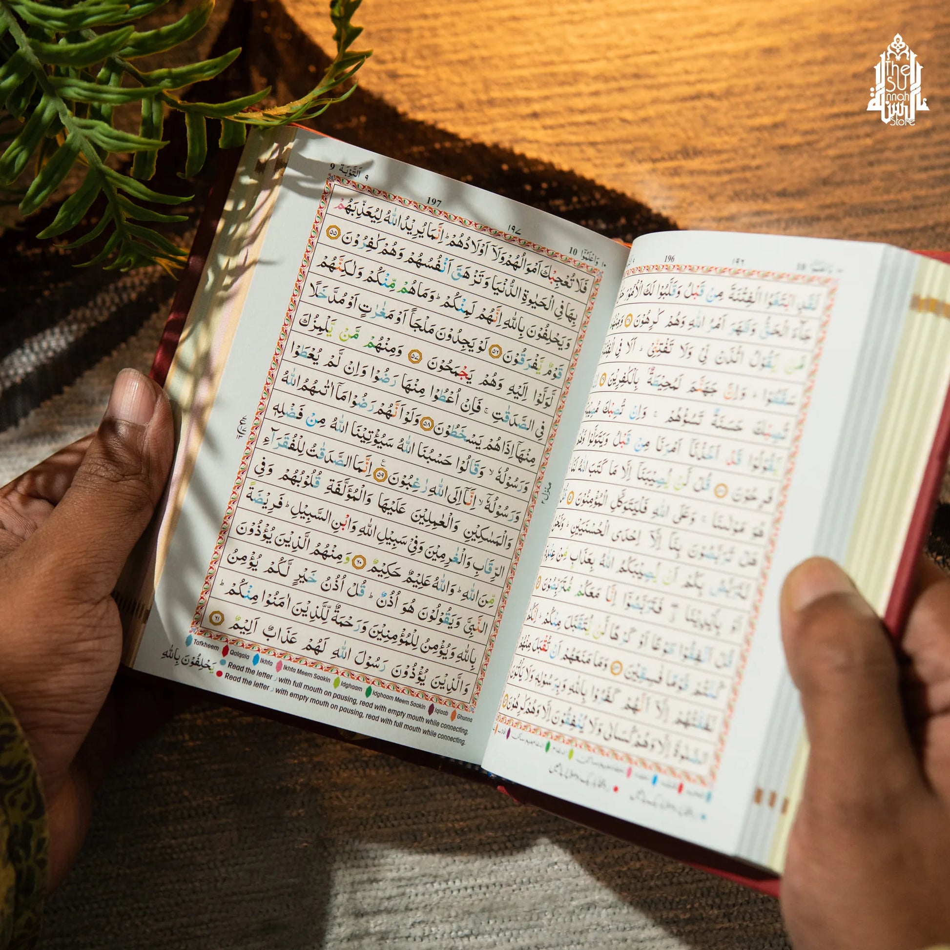 Pocket Quran : Colour Coded Tajweed Rules image 1