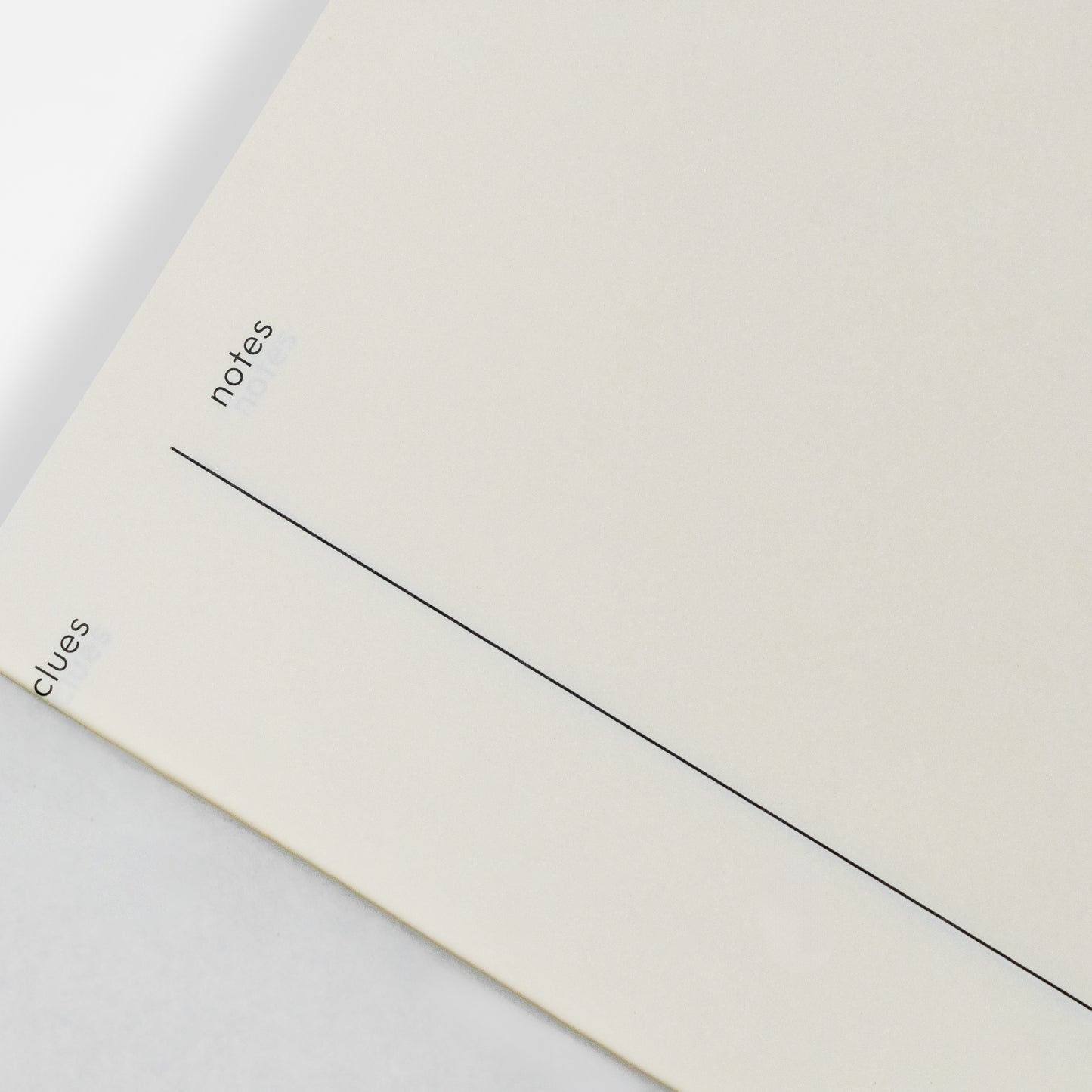Memory Assistant Notebook (Professional Edition)