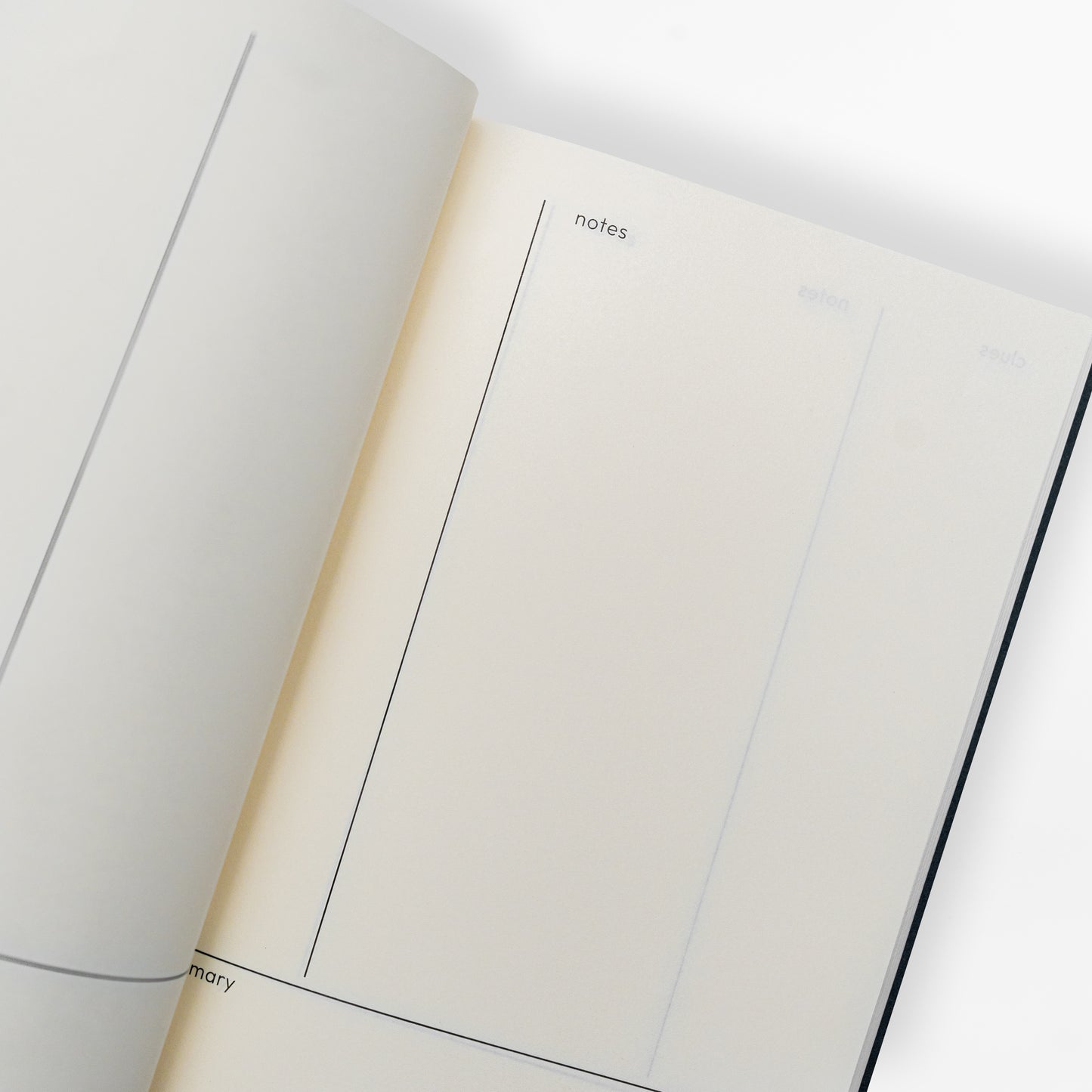 Memory Assistant Notebook (Professional Edition)