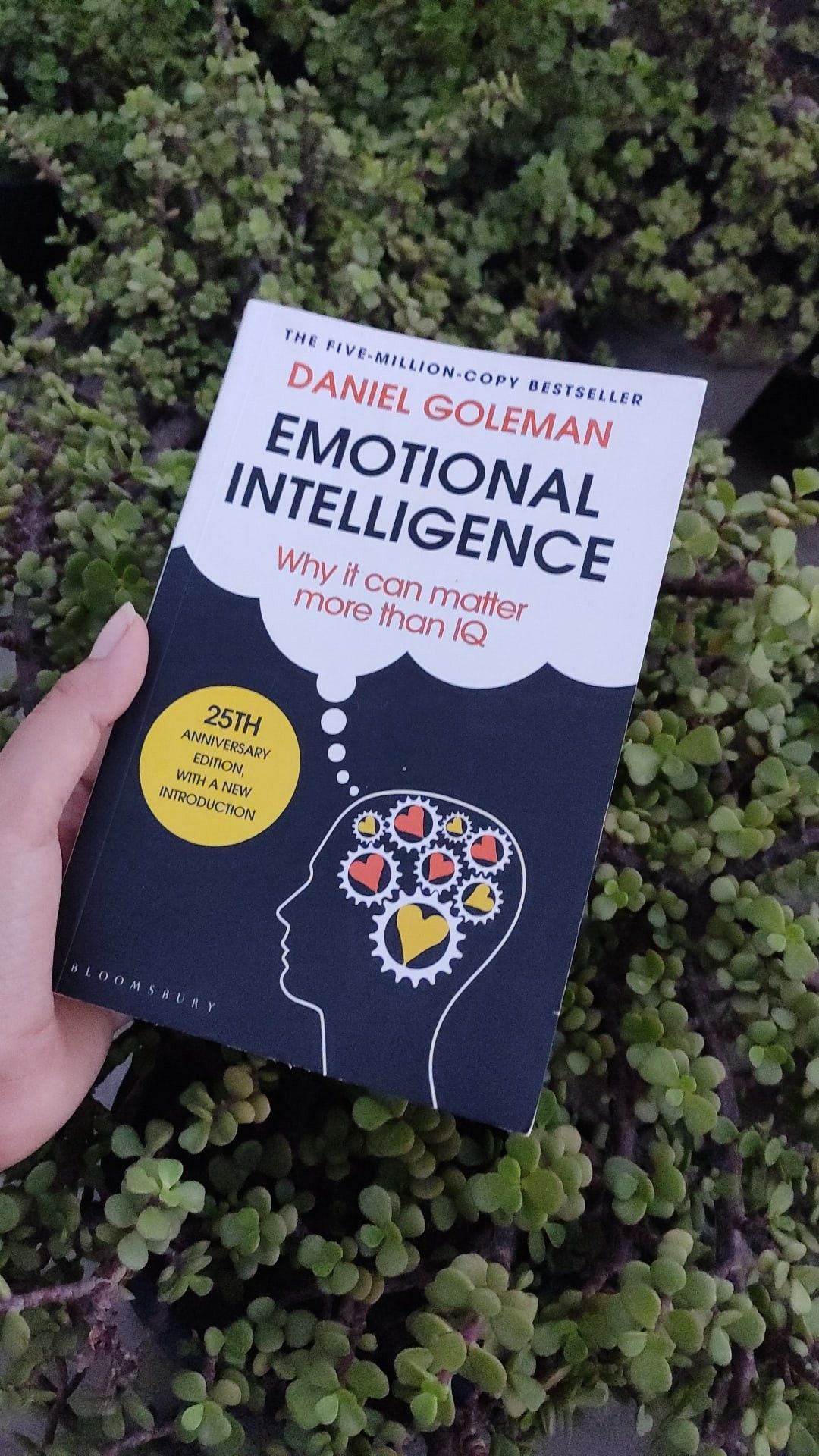 Emotional Intelligence by Daniel Goleman