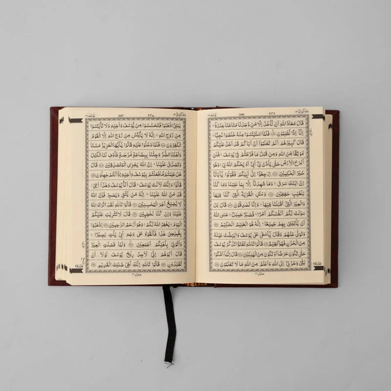 Pocket Quran image 2