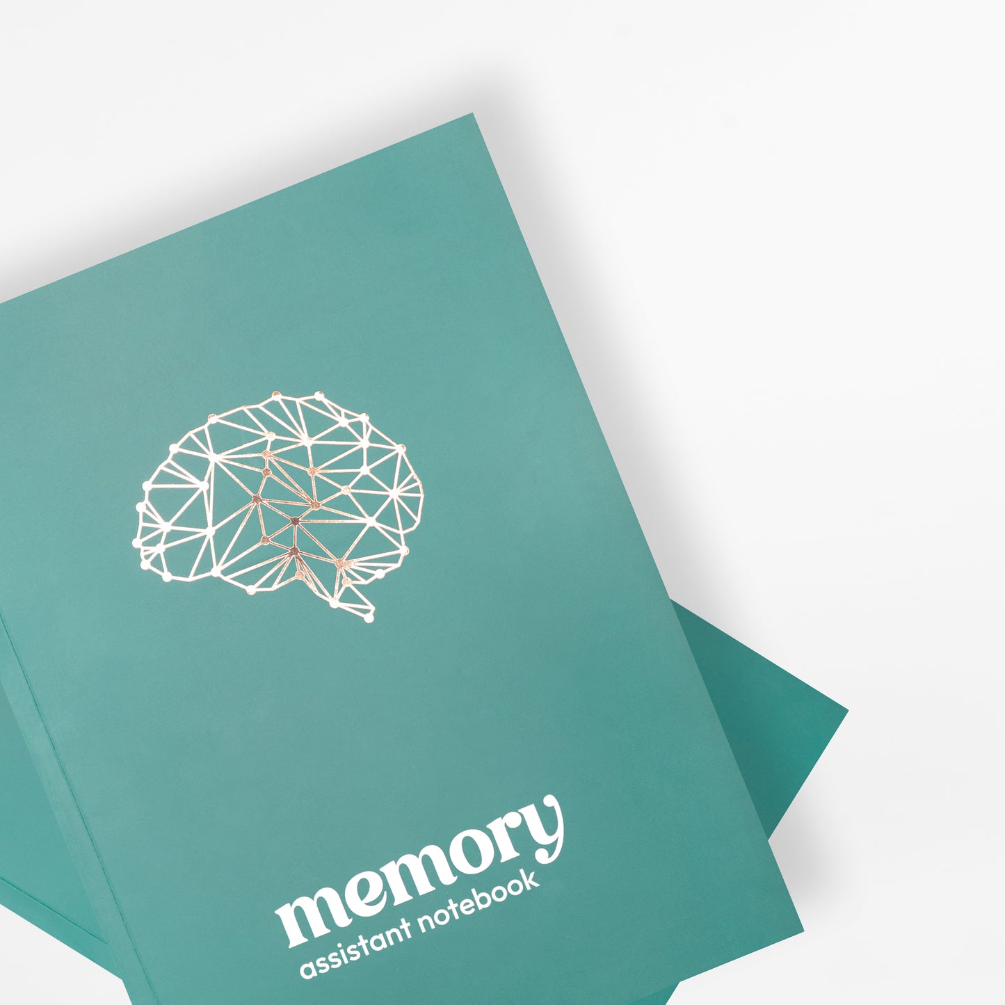 Memory Assistant Notebook (Student Edition)